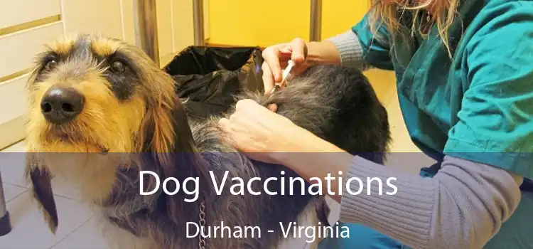 Dog Vaccinations Durham - Virginia