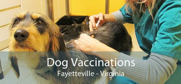 Dog Vaccinations Fayetteville - Virginia