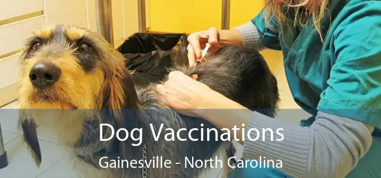 Dog Vaccinations Gainesville - North Carolina