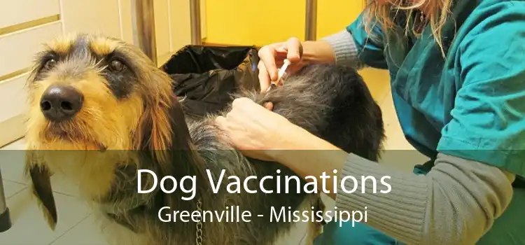 Dog Vaccinations Greenville - Mississippi