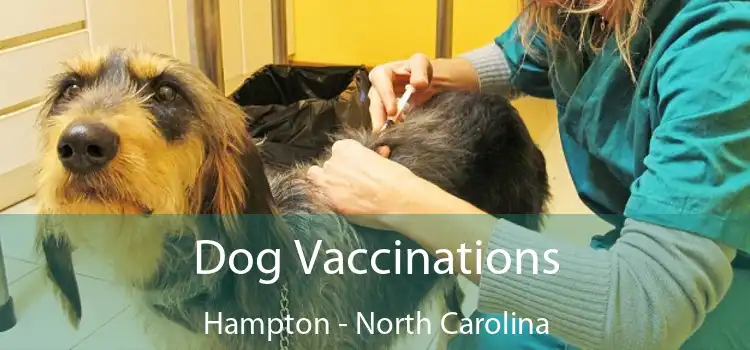 Dog Vaccinations Hampton - North Carolina