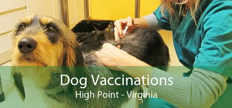 Dog Vaccinations High Point - Virginia