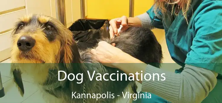 Dog Vaccinations Kannapolis - Virginia