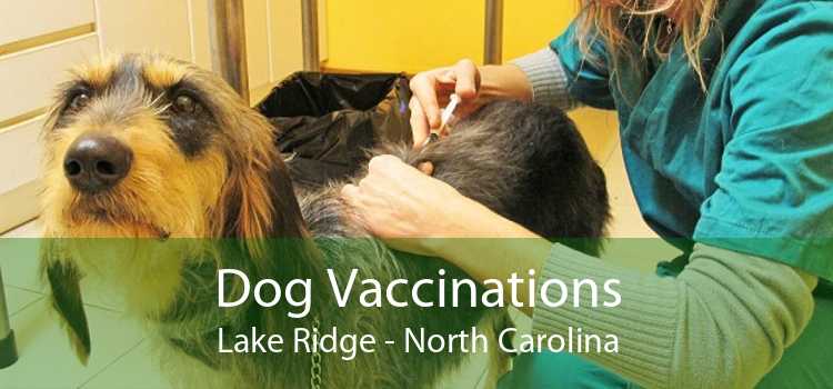 Dog Vaccinations Lake Ridge - North Carolina