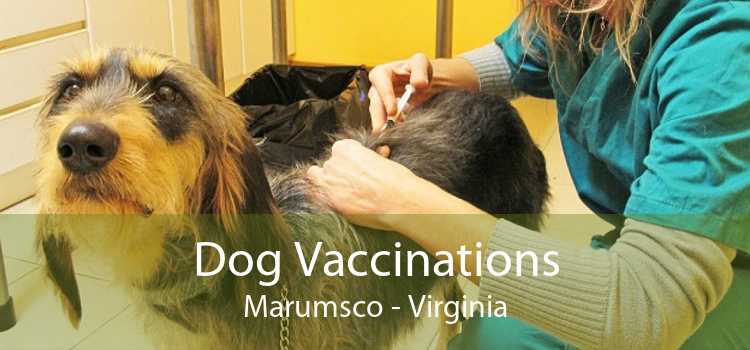 Dog Vaccinations Marumsco - Virginia