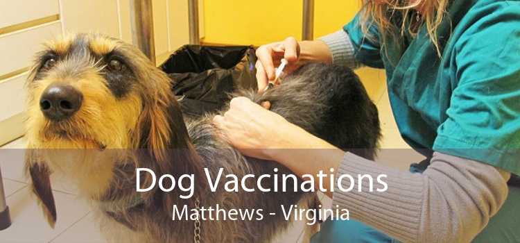 Dog Vaccinations Matthews - Virginia