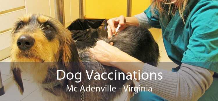 Dog Vaccinations Mc Adenville - Virginia