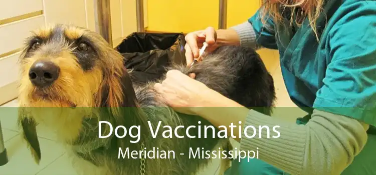 Dog Vaccinations Meridian - Mississippi