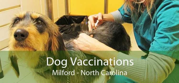 Dog Vaccinations Milford - North Carolina