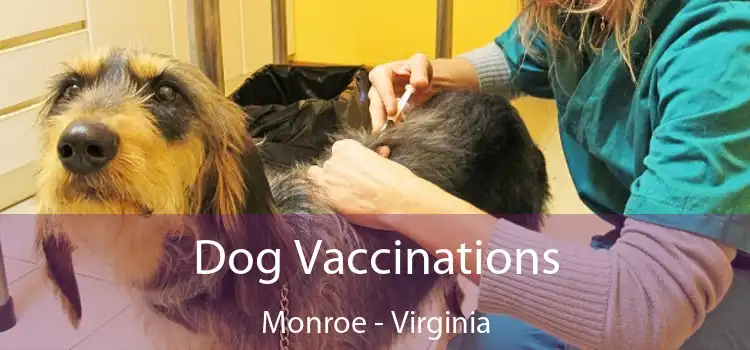 Dog Vaccinations Monroe - Virginia