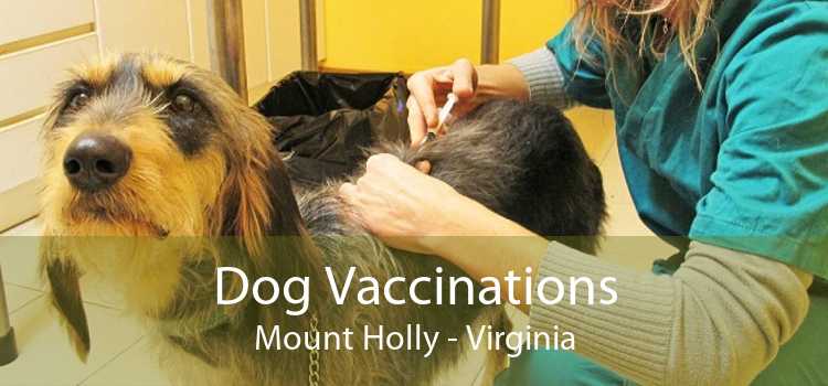 Dog Vaccinations Mount Holly - Virginia