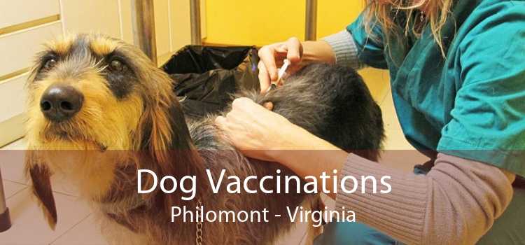 Dog Vaccinations Philomont - Virginia
