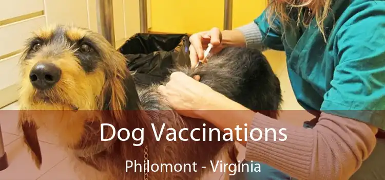 Dog Vaccinations Philomont - Virginia