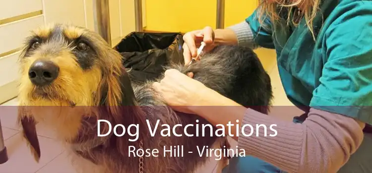 Dog Vaccinations Rose Hill - Virginia