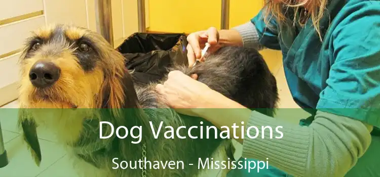 Dog Vaccinations Southaven - Mississippi