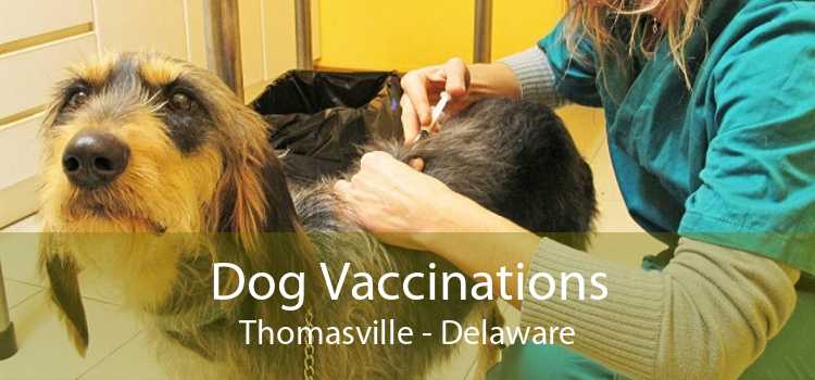 Dog Vaccinations Thomasville - Delaware
