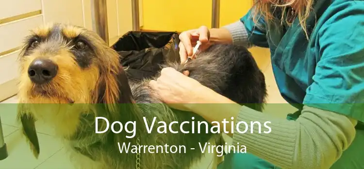 Dog Vaccinations Warrenton - Virginia