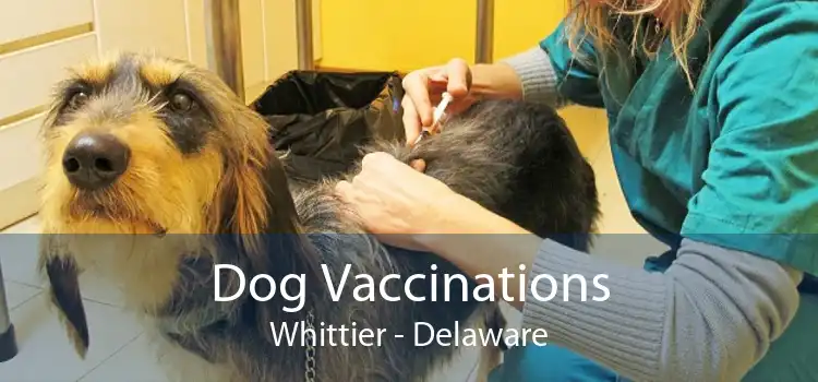 Dog Vaccinations Whittier - Delaware