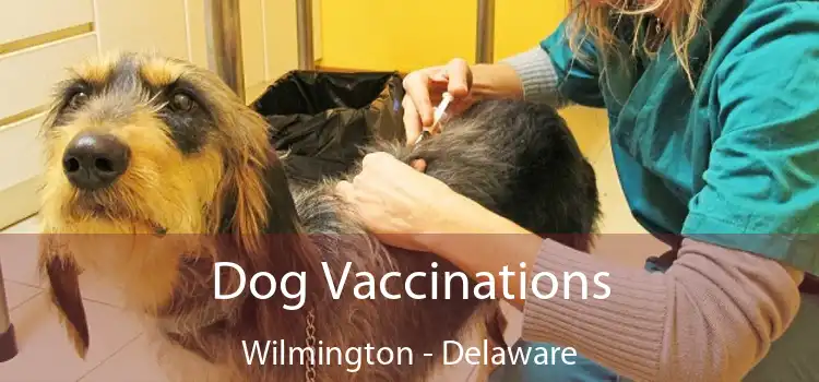 Dog Vaccinations Wilmington - Delaware