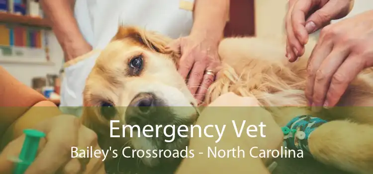 Emergency Vet Bailey's Crossroads - North Carolina