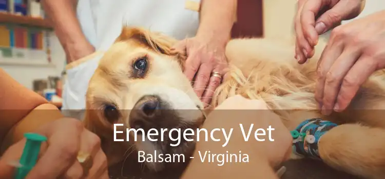 Emergency Vet Balsam - Virginia