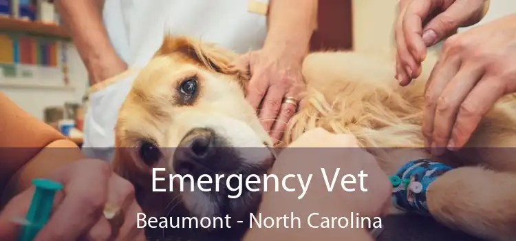 Emergency Vet Beaumont - North Carolina