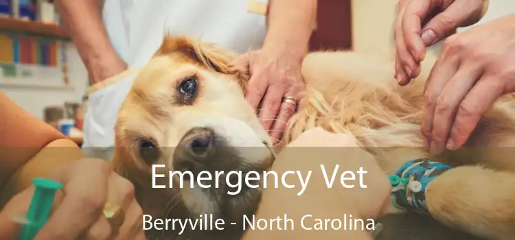 Emergency Vet Berryville - North Carolina