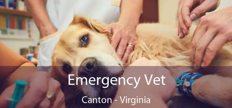 Emergency Vet Canton - Virginia