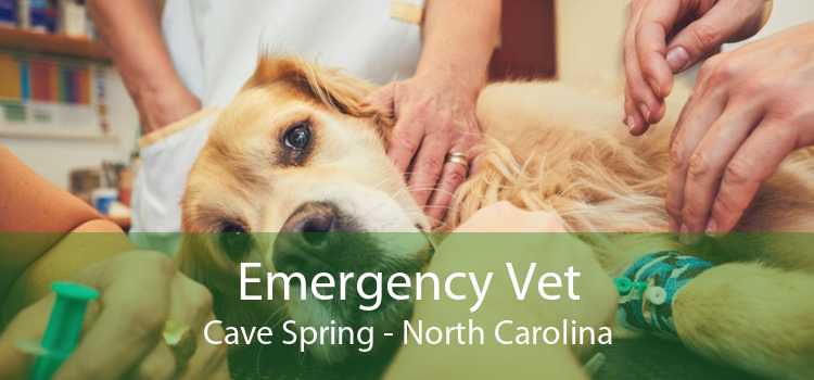 Emergency Vet Cave Spring - North Carolina