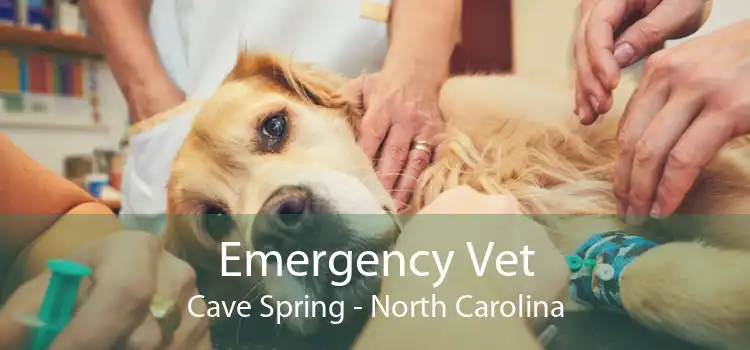 Emergency Vet Cave Spring - North Carolina
