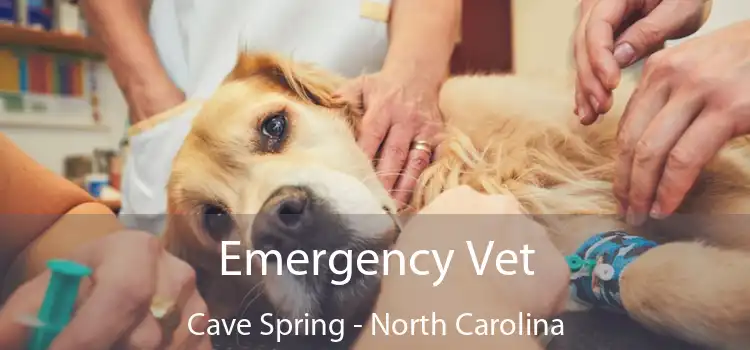 Emergency Vet Cave Spring - North Carolina