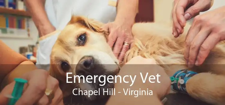 Emergency Vet Chapel Hill - Virginia