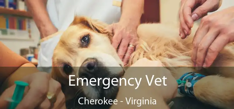 Emergency Vet Cherokee - Virginia