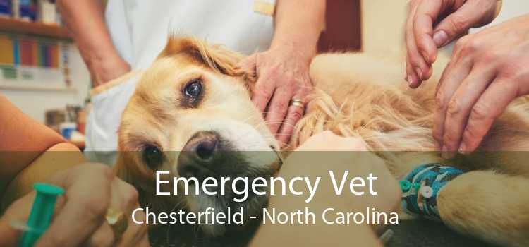 Emergency Vet Chesterfield - North Carolina