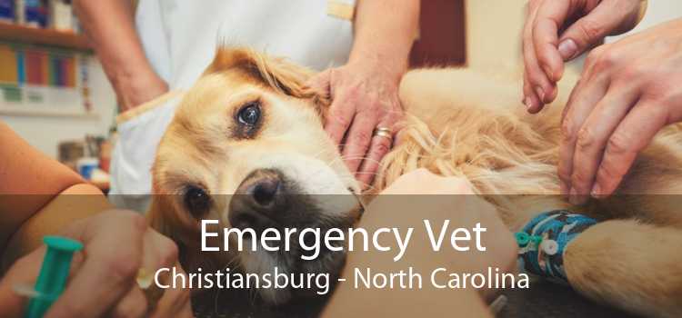 Emergency Vet Christiansburg - North Carolina