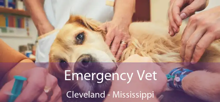 Emergency Vet Cleveland - Mississippi