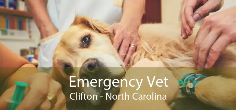 Emergency Vet Clifton - North Carolina