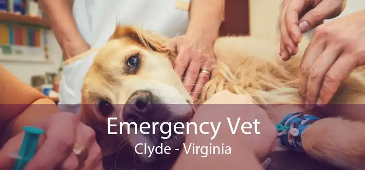 Emergency Vet Clyde - Virginia