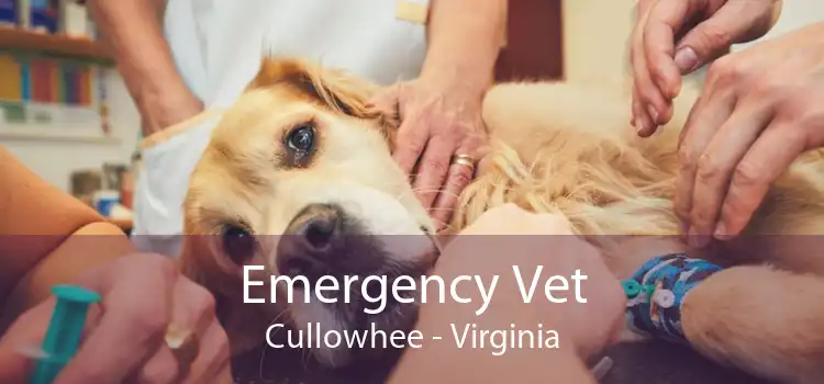 Emergency Vet Cullowhee - Virginia