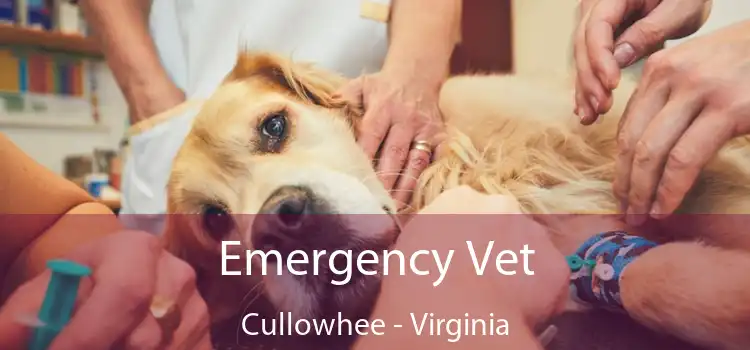 Emergency Vet Cullowhee - Virginia