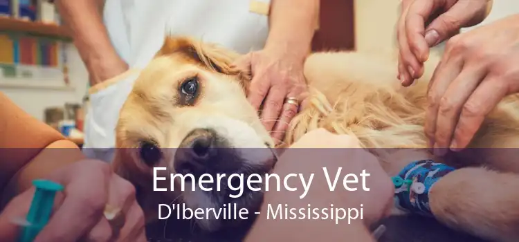 Emergency Vet D'Iberville - Mississippi