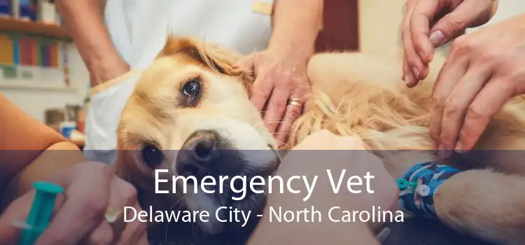 Emergency Vet Delaware City - North Carolina