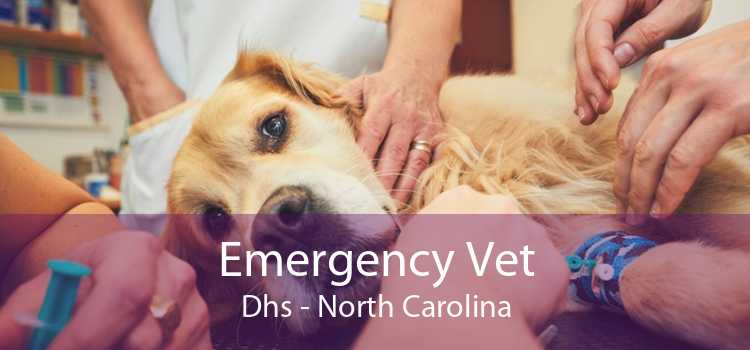 Emergency Vet Dhs - North Carolina
