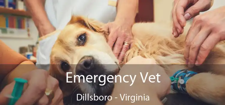 Emergency Vet Dillsboro - Virginia