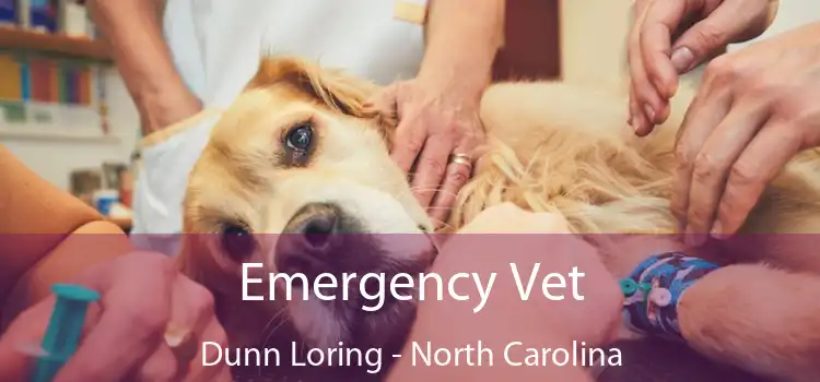 Emergency Vet Dunn Loring - North Carolina