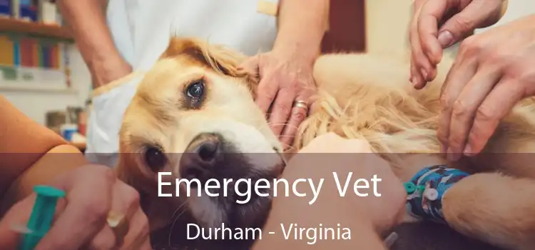 Emergency Vet Durham - Virginia