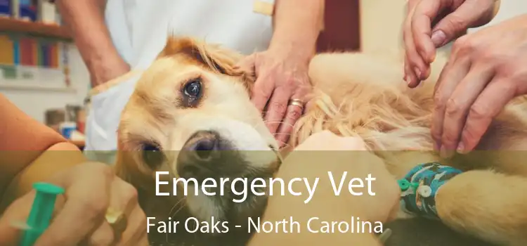 Emergency Vet Fair Oaks - North Carolina