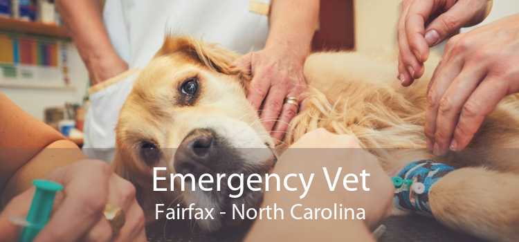 Emergency Vet Fairfax - North Carolina