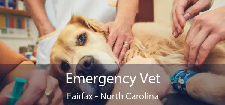 Emergency Vet Fairfax - North Carolina