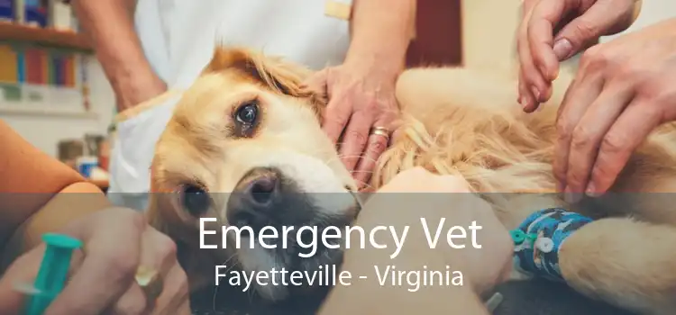 Emergency Vet Fayetteville - Virginia